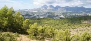 Vista des dels Anibits